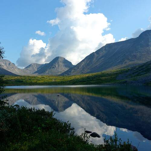 Photo #11817501