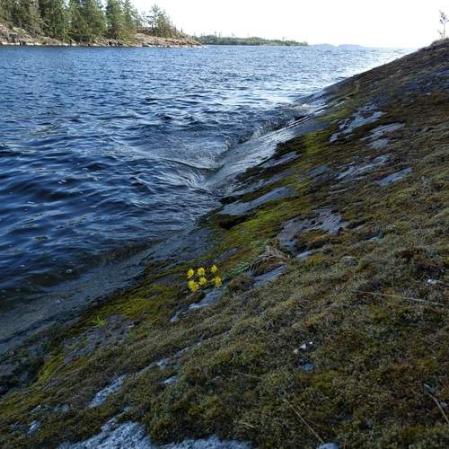Photo #11817593