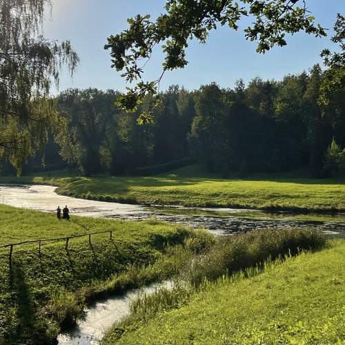 Photo #11817609