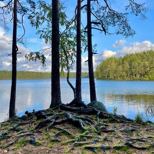 Photo #11817621