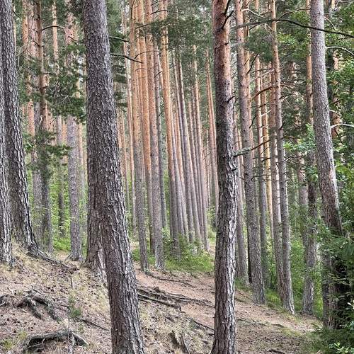 Photo #11817636