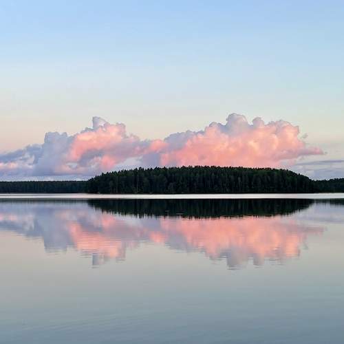 Photo #11817682