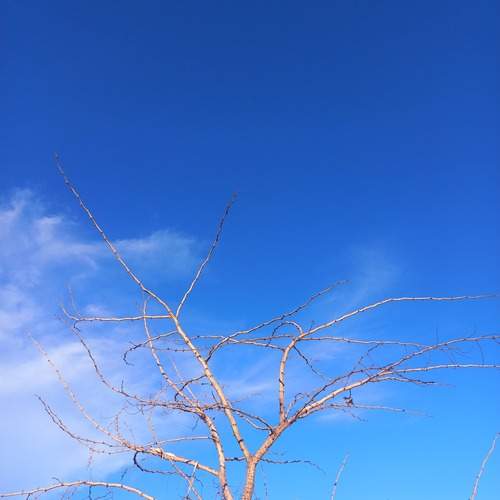 Photo #11817732