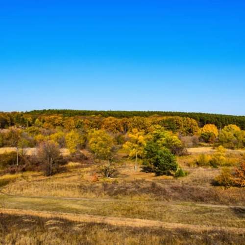 Краски осени