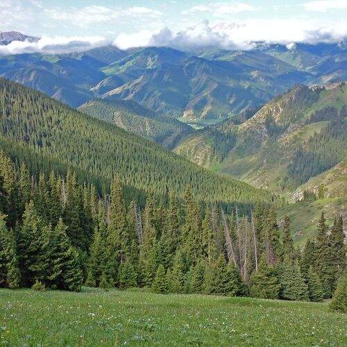 Photo #11818106