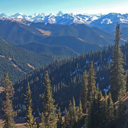 Photo #11818114