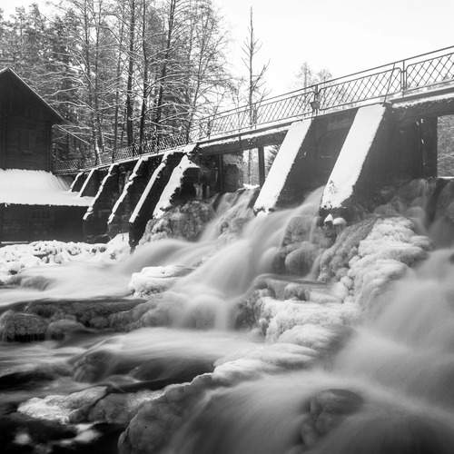 Photo #11818159