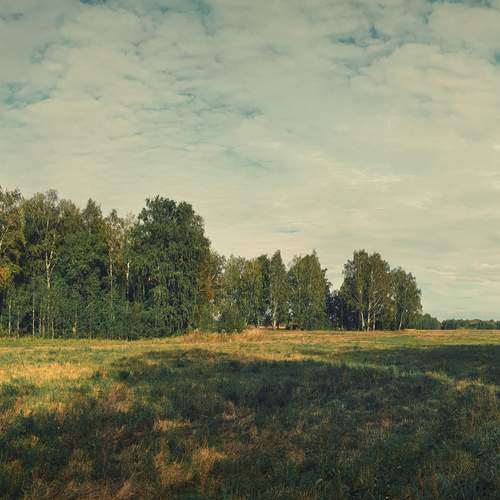 Photo #11818326