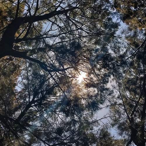 Photo #11818623