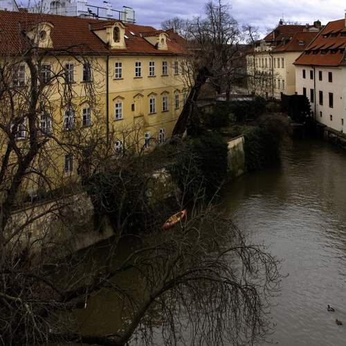 Photo #11818791