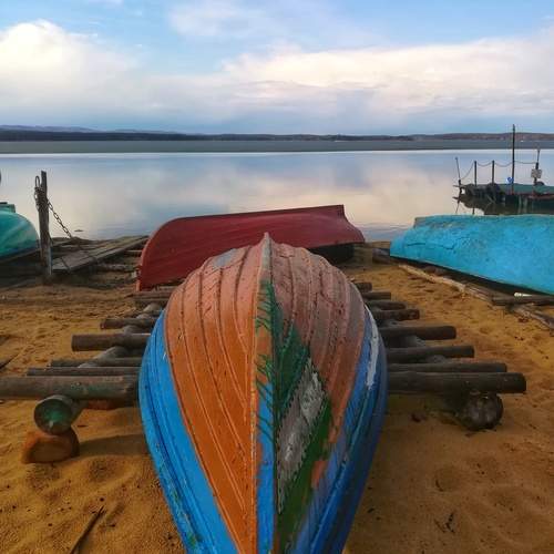 Photo #11818837