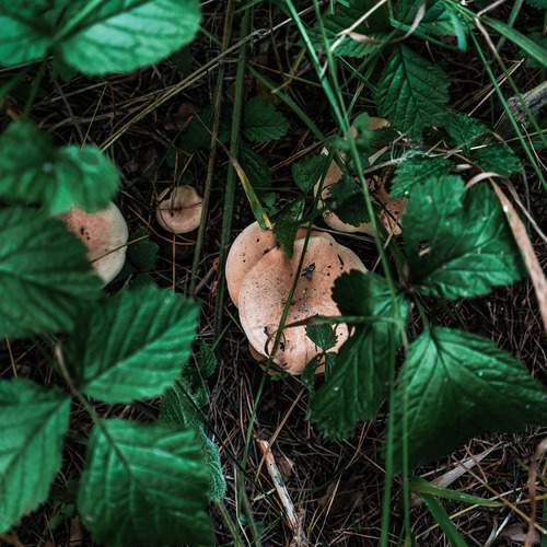 Photo #11818922