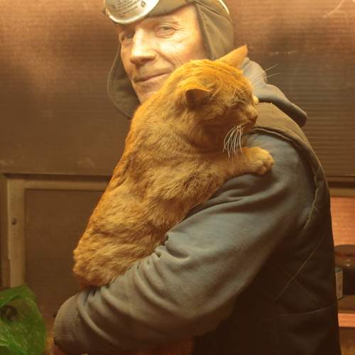 Photo #11819086