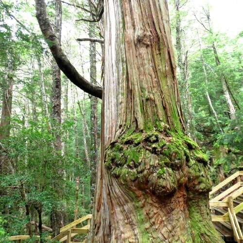 Photo #11819298