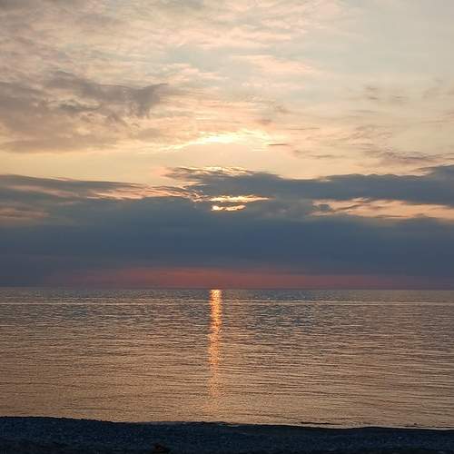 Photo #11819460