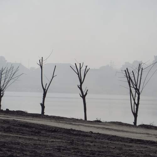 Photo #11819476