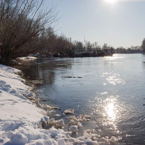 Photo #11819589