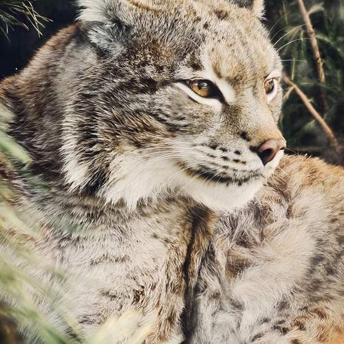 Photo #11819727