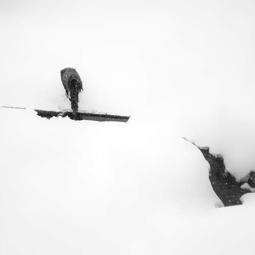 Photo #11819843