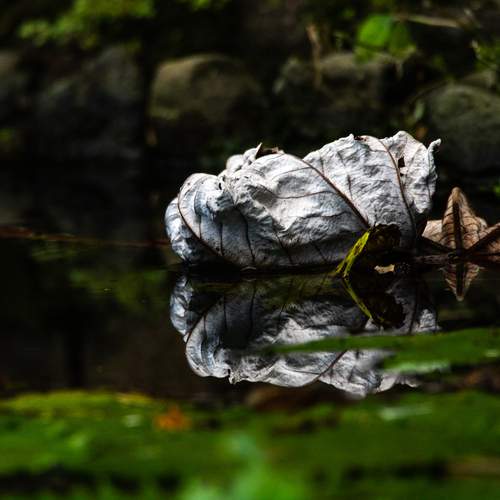 Photo #11820015