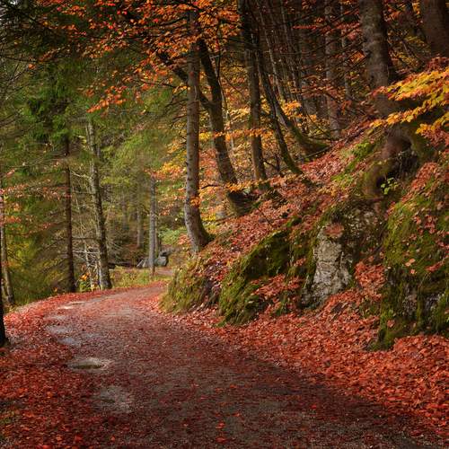 Photo #11820297