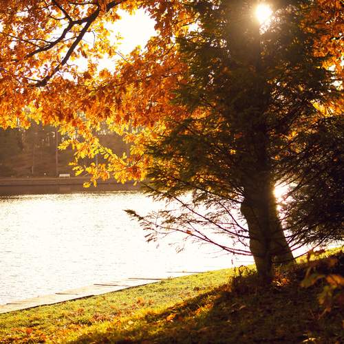 Photo #11820447