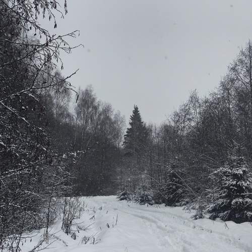 Свежесть