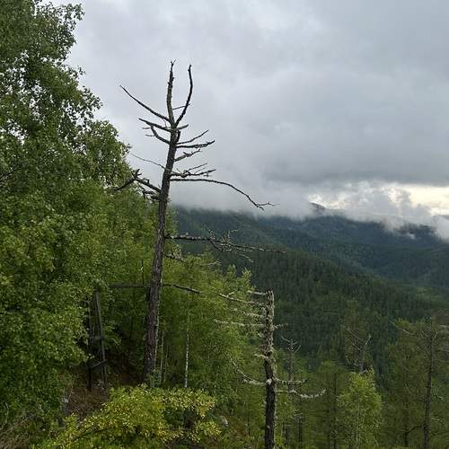 Photo #11820572