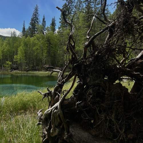Photo #11820573