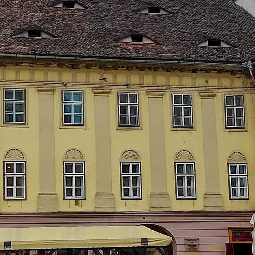 Photo #11820642