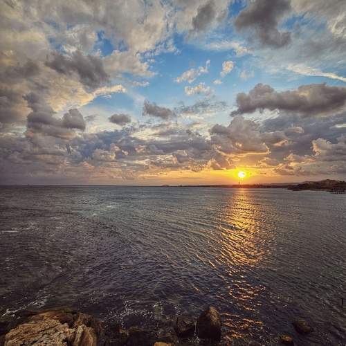 Photo #11820681