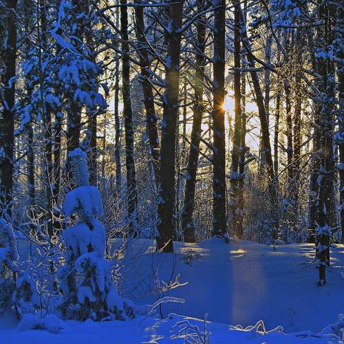 Photo #11820691