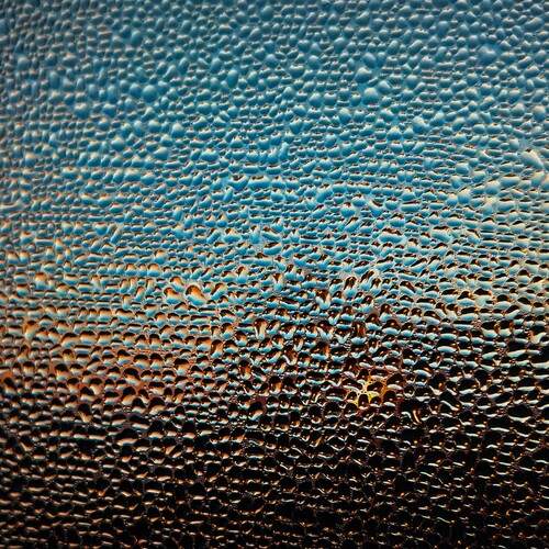 Photo #11820708