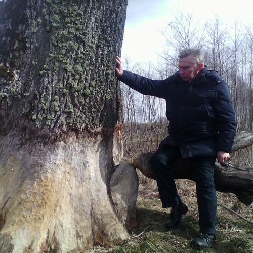 Photo #11820858