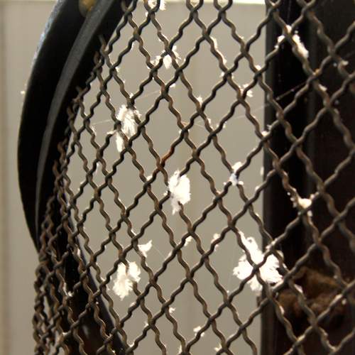 Photo #11821061