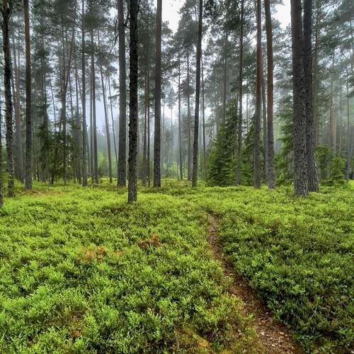 Photo #11821177