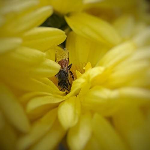 Photo #11821207