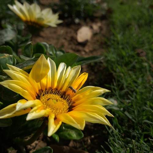 Photo #11821241