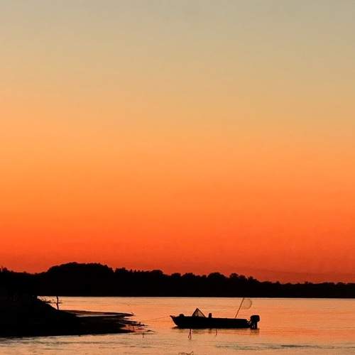 Photo #11821320