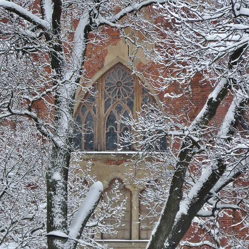 Photo #11821498