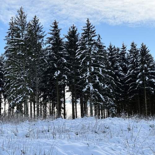 Photo #11821522