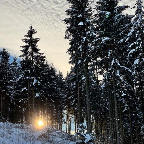 Photo #11821523