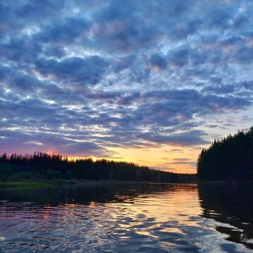 Photo #11821542