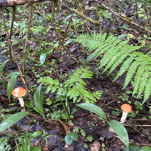 Photo #11821611