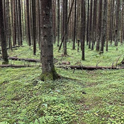 Photo #11821612