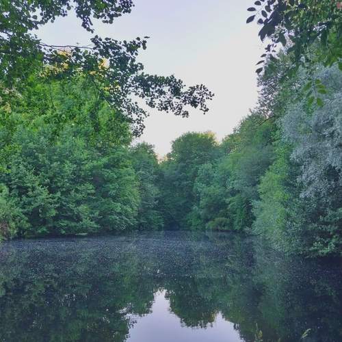 Photo #11821951