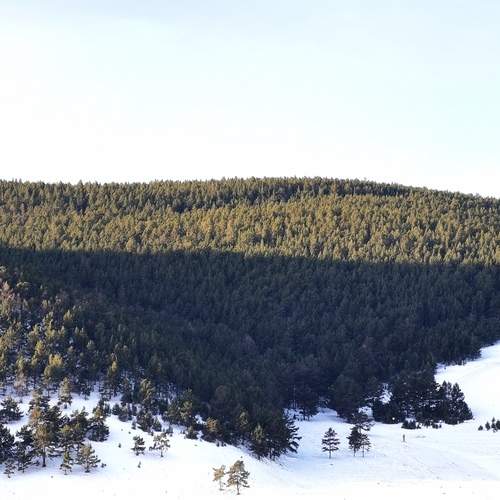 Photo #11821990