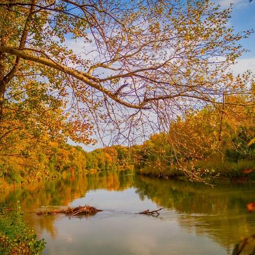 Photo #11822095