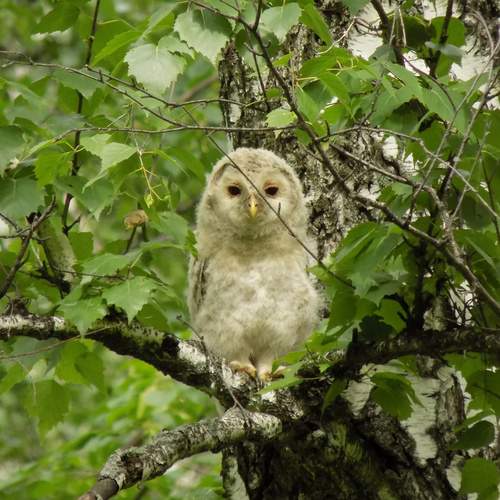 Photo #11822215
