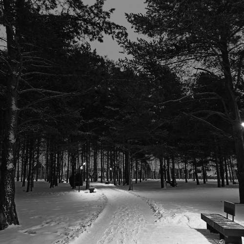 Photo #11822243